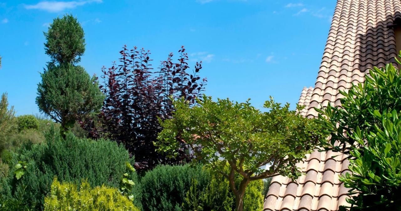 Apartament Les Tonyines Llança Εξωτερικό φωτογραφία